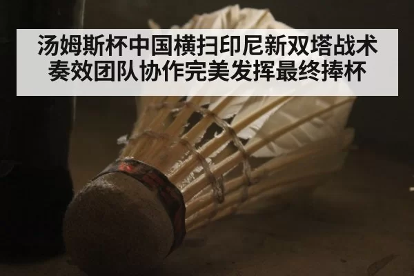 汤姆斯杯中国横扫印尼新双塔战术奏效团队协作完美发挥最终捧杯